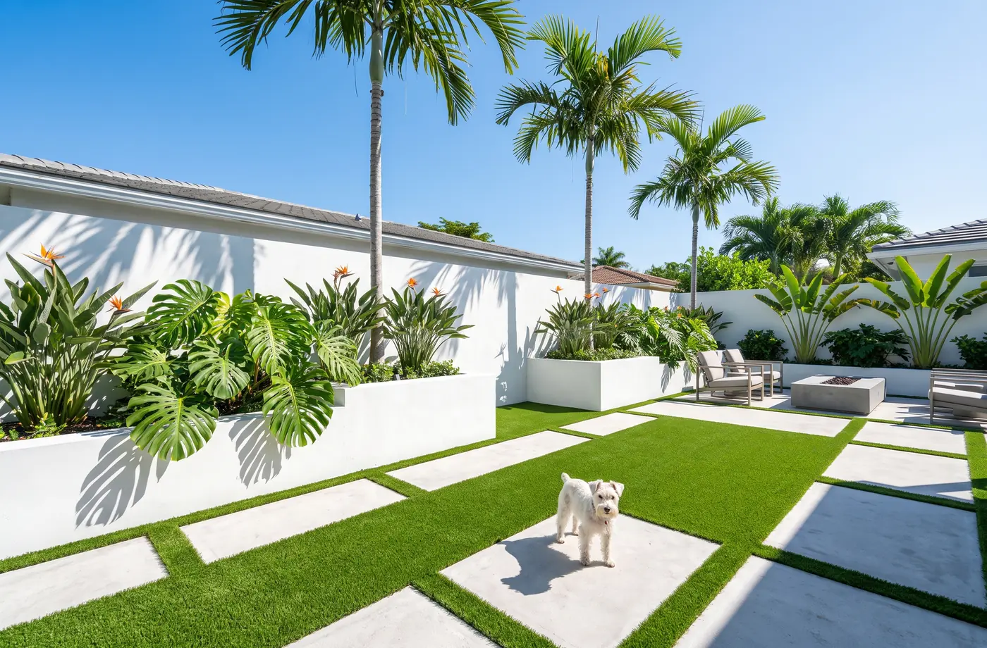 Small dog on pet-friendly artificial turf laid between pavers in a modern Miami, Florida courtyard with royal palms